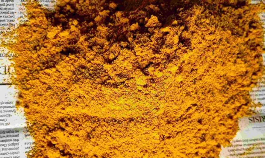 2 Bandra Girls Buy a Farm, Part 11 – 24-Carat Turmeric Powder